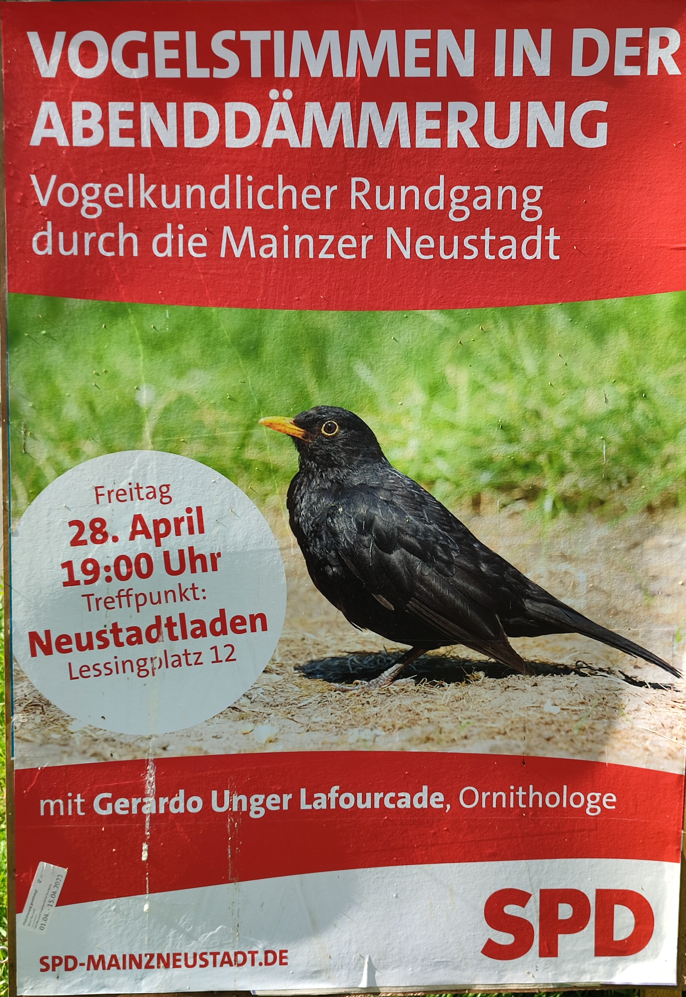 Plakat mit Vogel